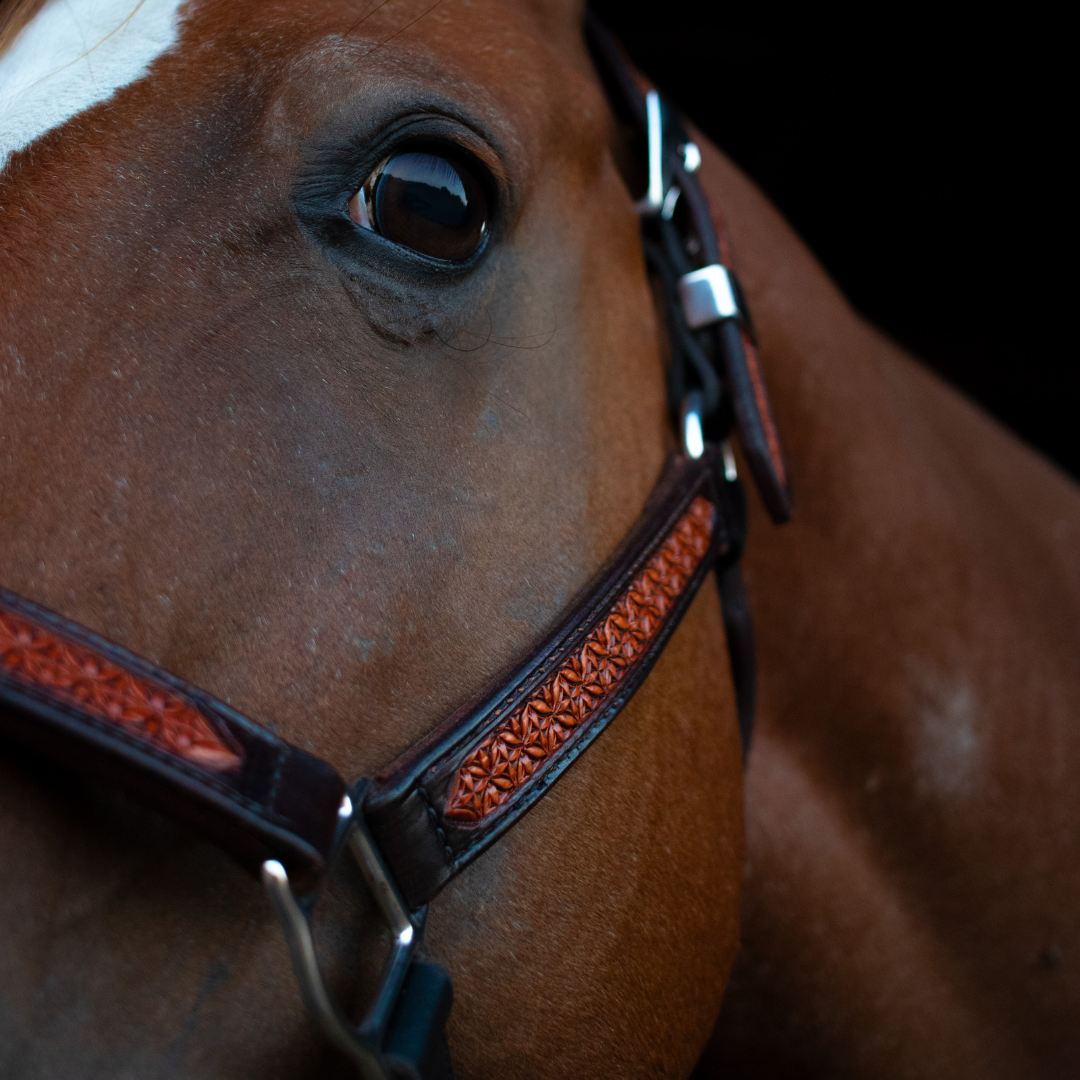 Double Cross Halter