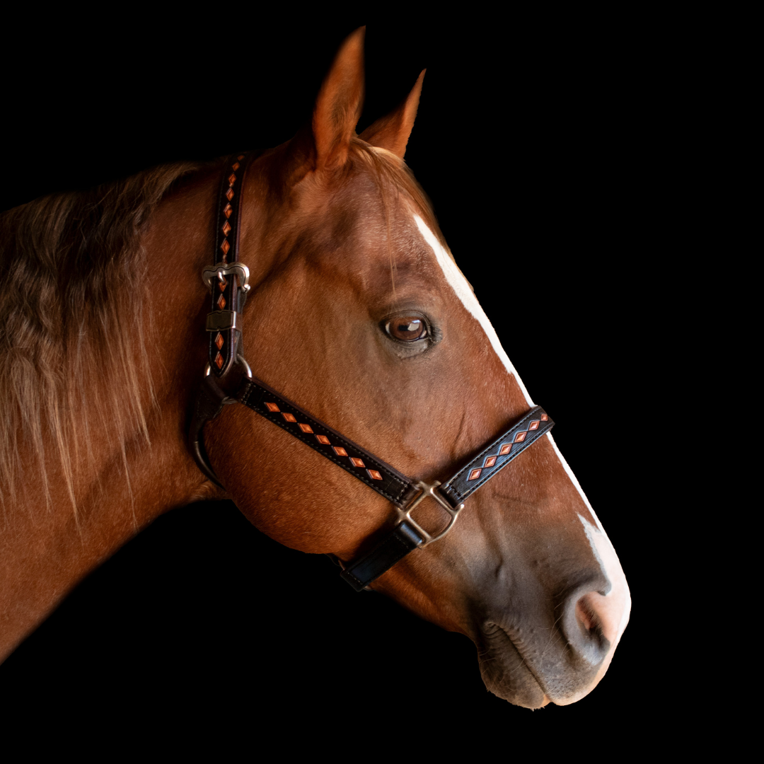 Diamond Tooled Halter