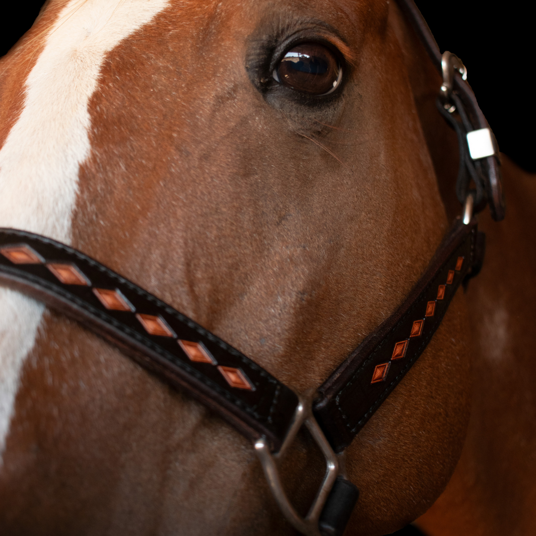 Diamond Tooled Halter