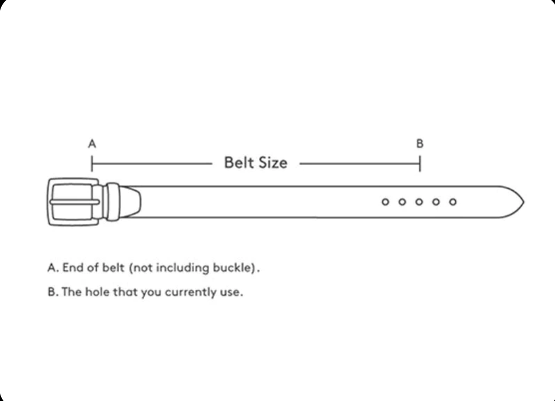 Small Check Lace Dog Collar