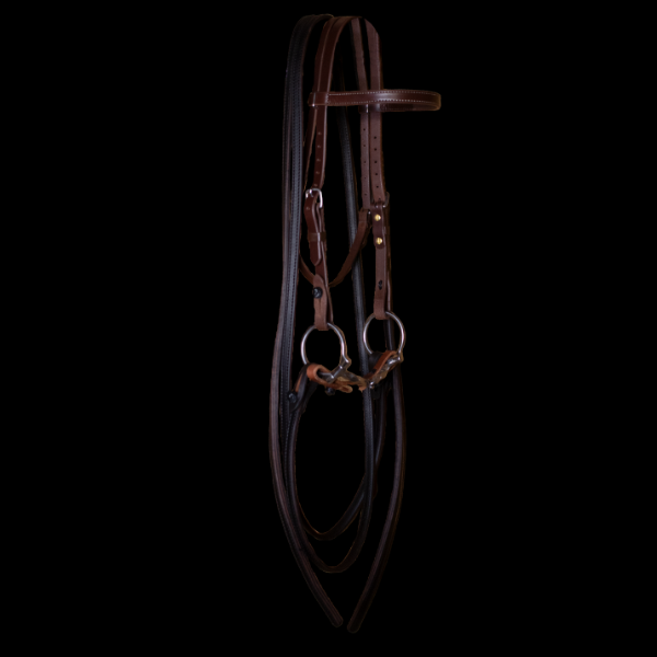 Slow Twist D-Ring Snaffle