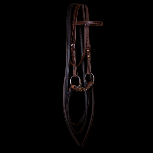 Slow Twist D-Ring Snaffle