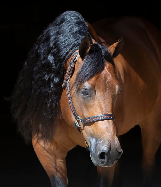 Double Cross Solitaire Halter