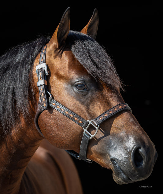 Diamond Tooled Halter